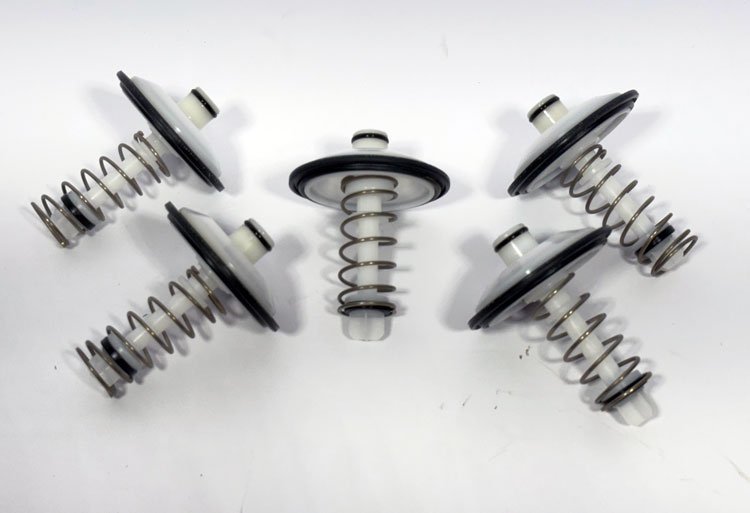 1/2" to 1", RP500/501, Relief Valve Assembly w/Spring, 5-Pack